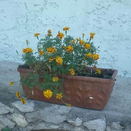 Appartement Michela *