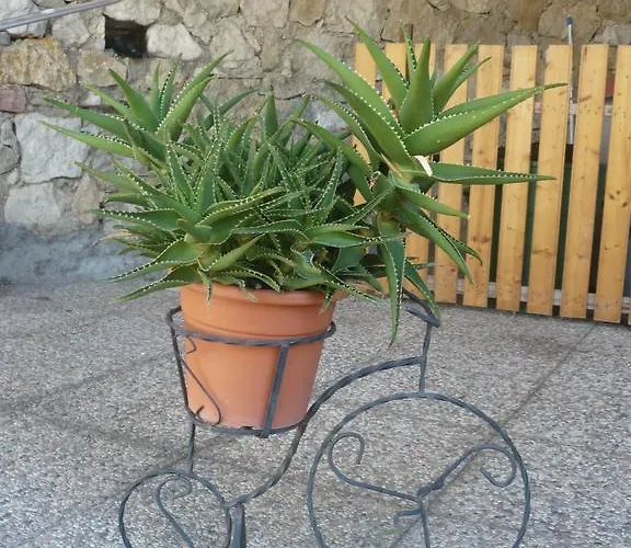 Michela Brenzone sul Garda