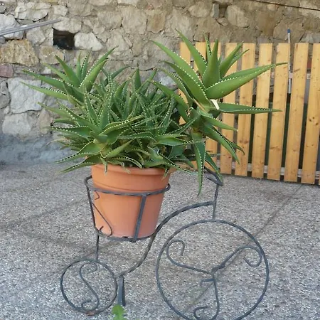 Michela Brenzone sul Garda